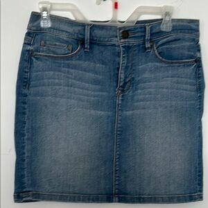 Ann Taylor LOFT Blue Denim Skirt size 8/29